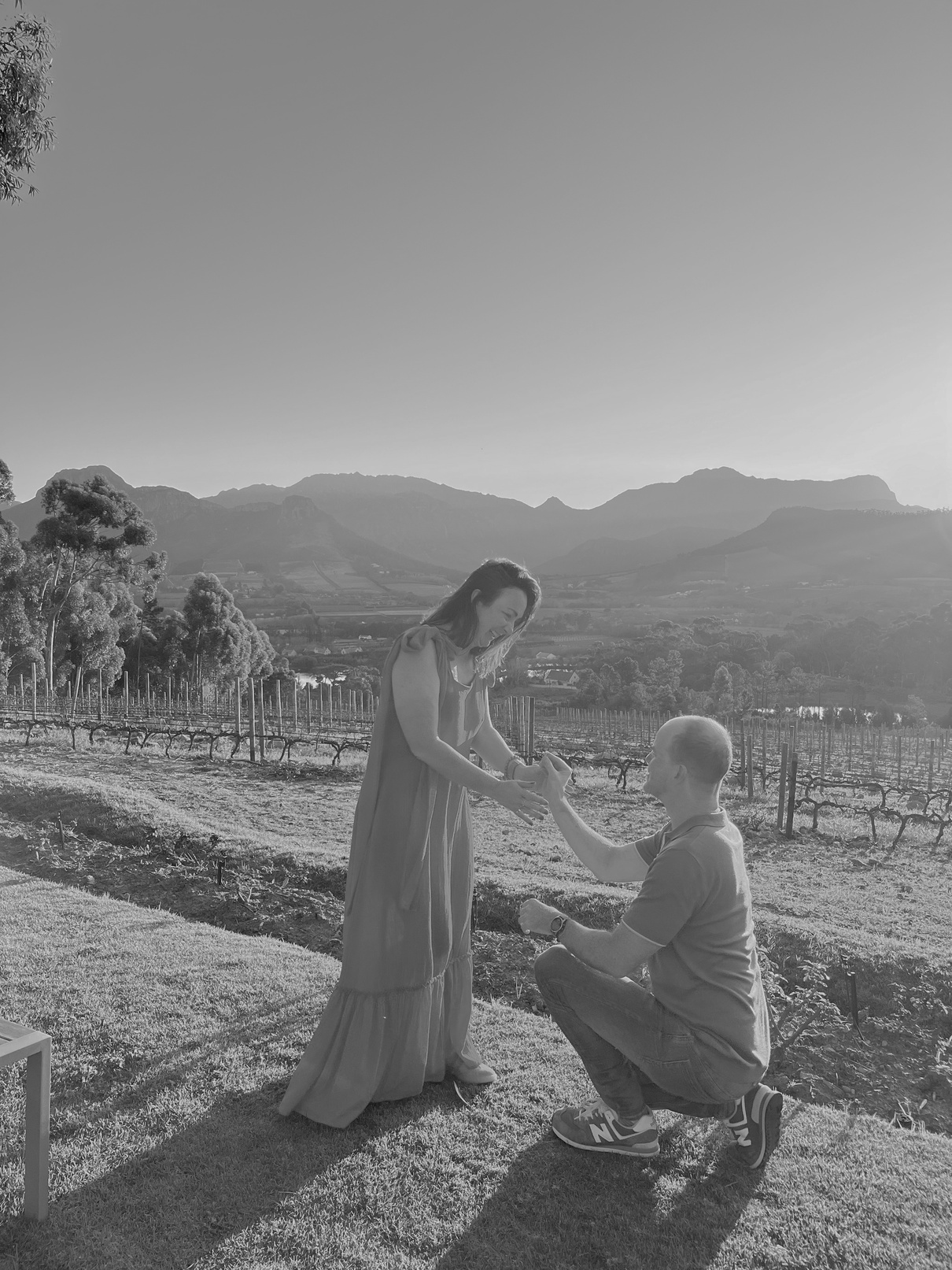 Andrew’s proposal to Angel in the vineyard