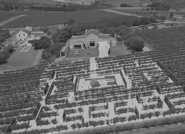 Aerial view of South Hill Vineyards